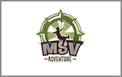 Logotipo msv