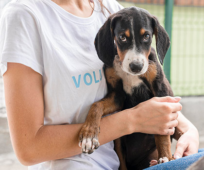 inter;italic;400;100%;U+0-10FFFF