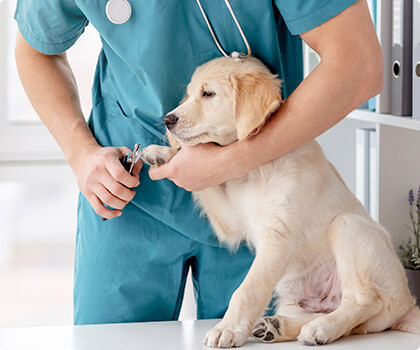 inter;normal;600;100%;U+0-10FFFF