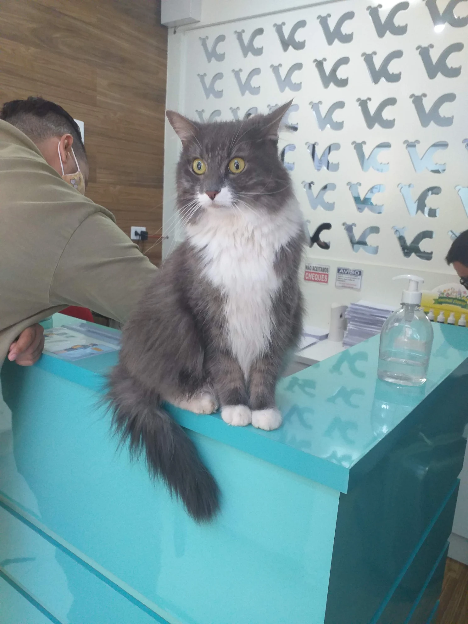 Larissa Silva pet photo